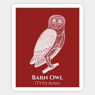 Barn Owl with Common and Scientific Names - bird lovers design Magnet